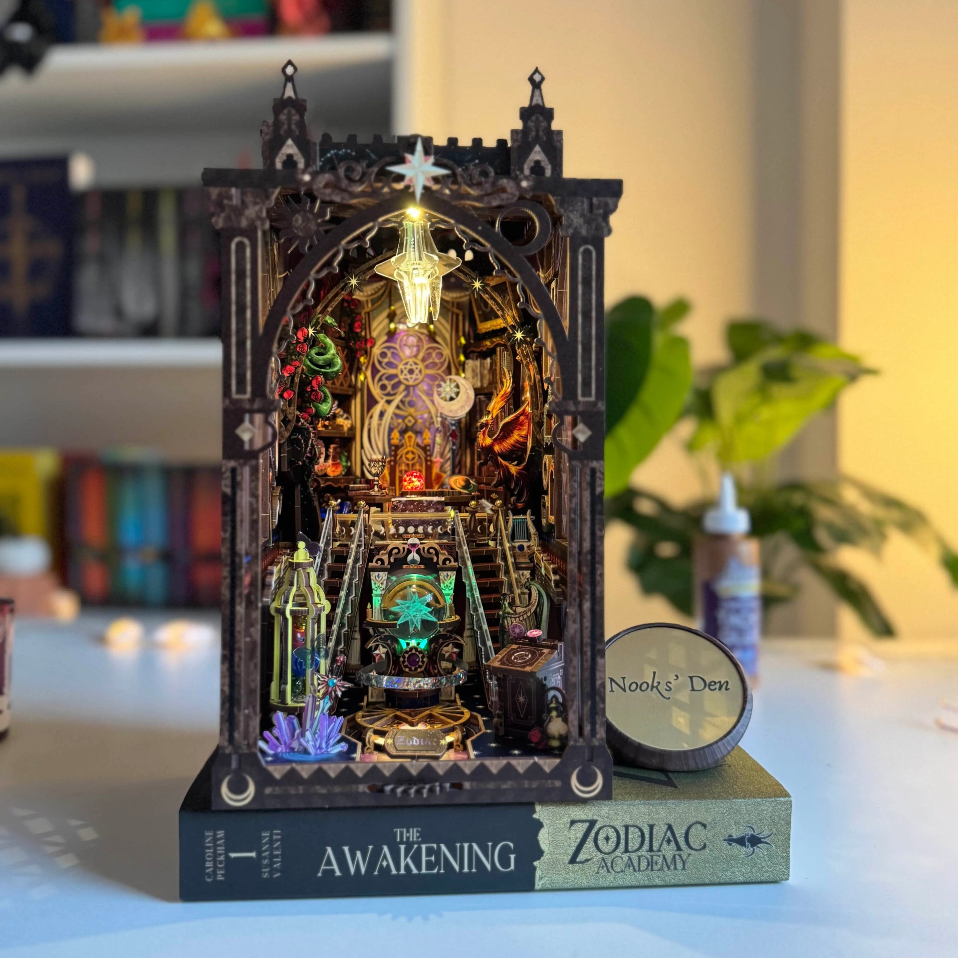 6.webp?v=1764051748&width=1920